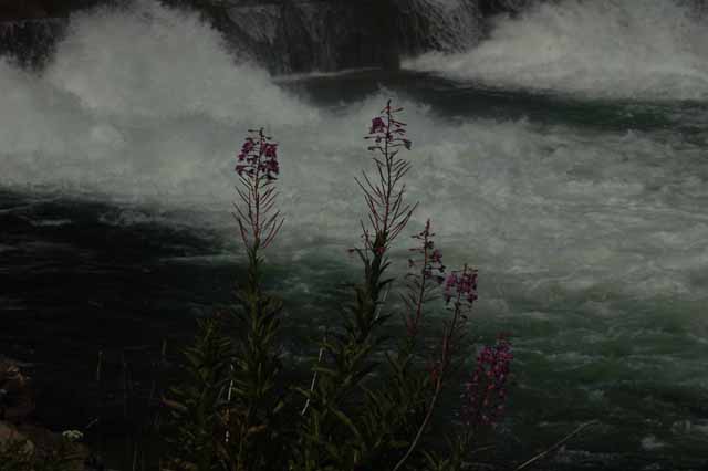 the water rushing at Jackson Dam